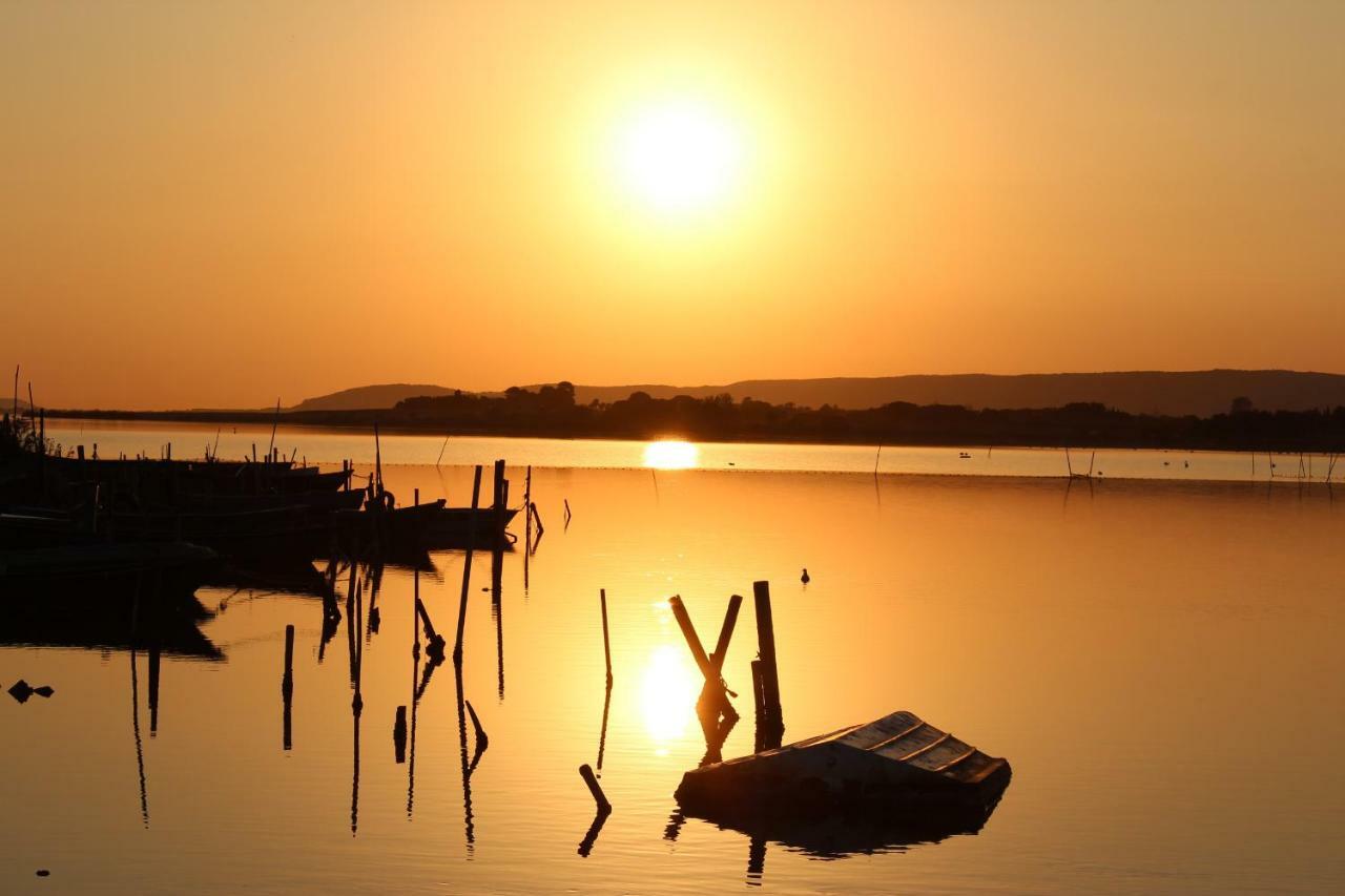 Studio 237 Port Camargue, Piscine, Climatisation, 2 Personnes 勒格罗-迪鲁瓦 外观 照片