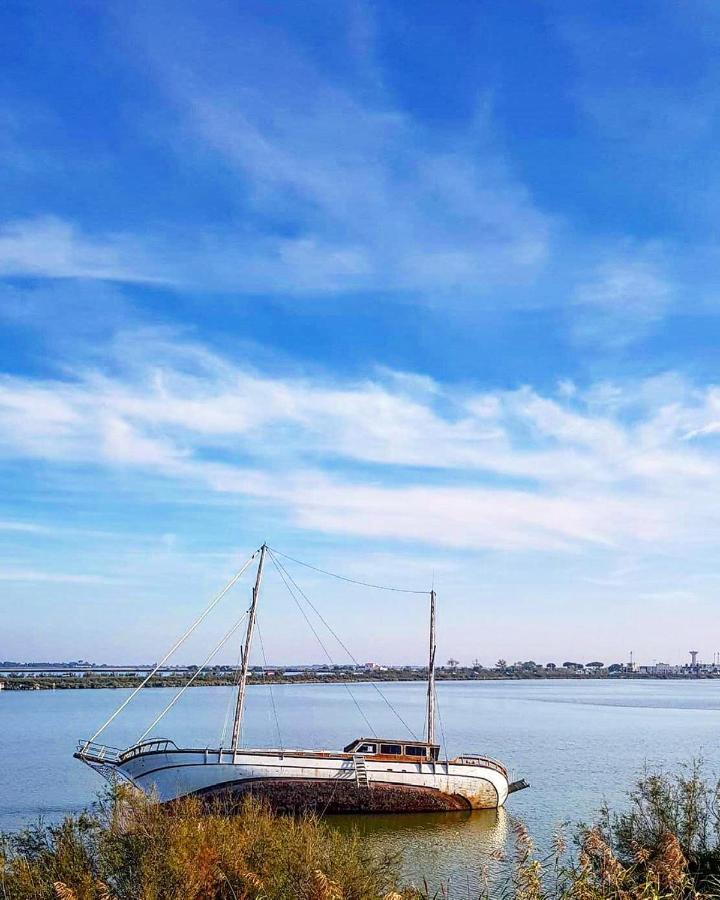 Studio 237 Port Camargue, Piscine, Climatisation, 2 Personnes 勒格罗-迪鲁瓦 外观 照片